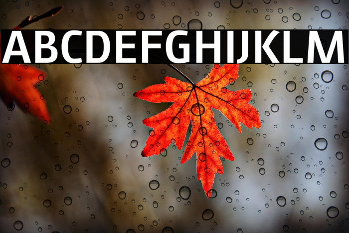 August Sans Reduced 65 Medium Example 1