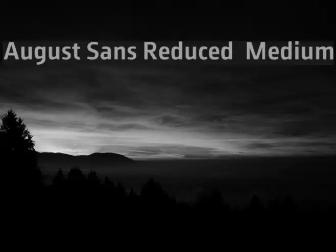 August Sans Reduced 65 Medium Font examples