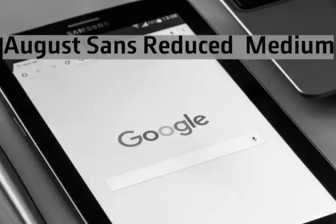August Sans Reduced 65 Medium Font examples