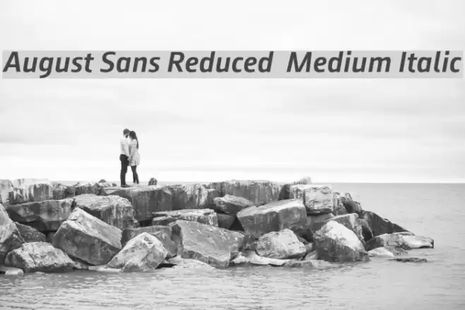 August Sans Reduced 66 Medium Italic Font examples