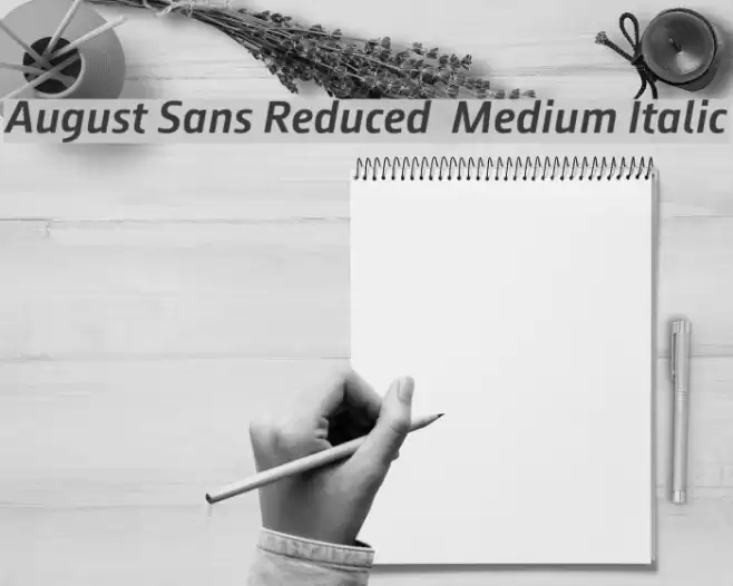 August Sans Reduced 66 Medium Italic Font examples
