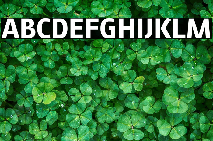 August Sans Reduced 75 Bold Example 1