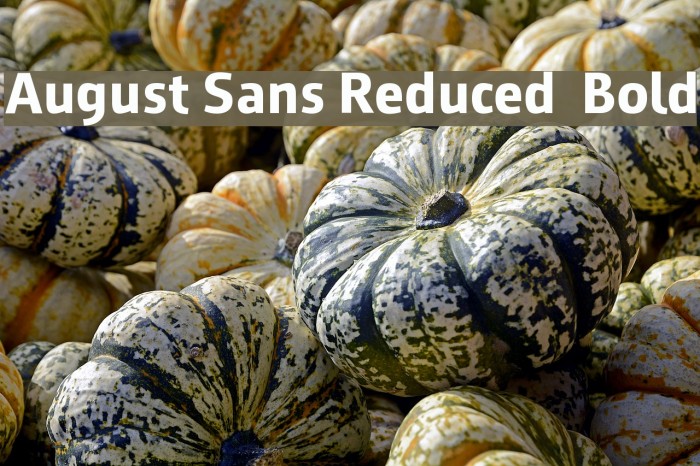 August Sans Reduced 75 Bold Font examples