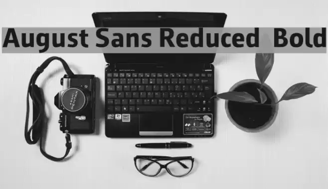 August Sans Reduced 75 Bold Font examples
