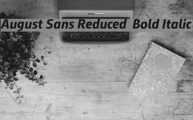 August Sans Reduced 76 Bold Italic Font examples