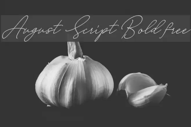 August Script Bold free Font examples