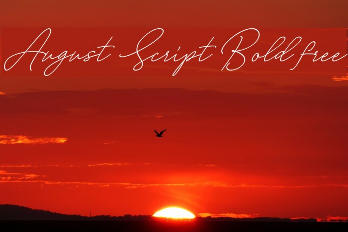 August Script Bold free Font examples