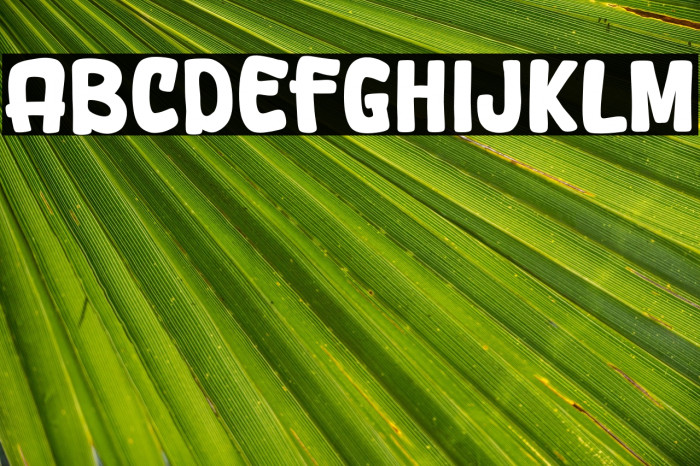 August Shining Example 2