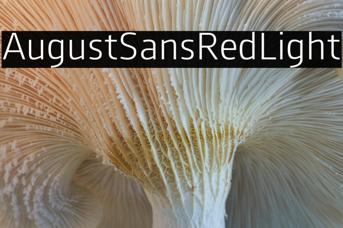 AugustSansRed-45Light Example 2