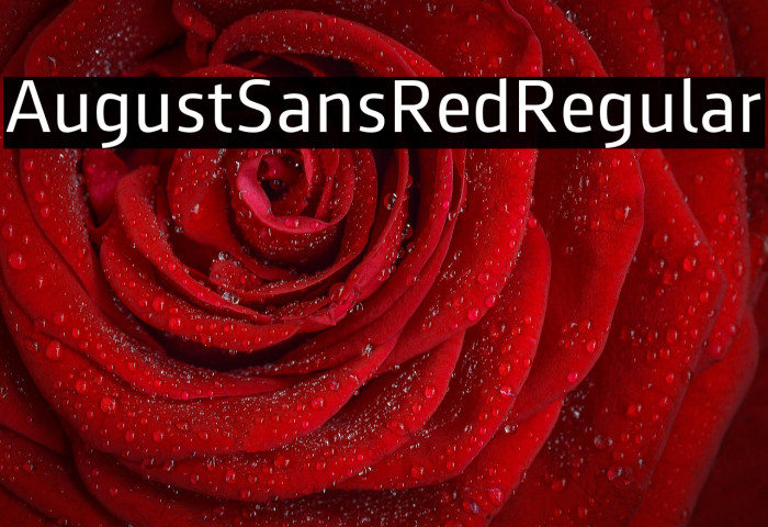 AugustSansRed-55Regular Example 2