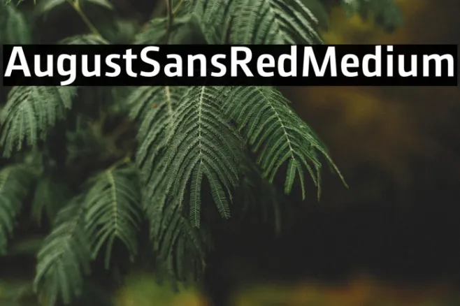 AugustSansRed-65Medium Example 3