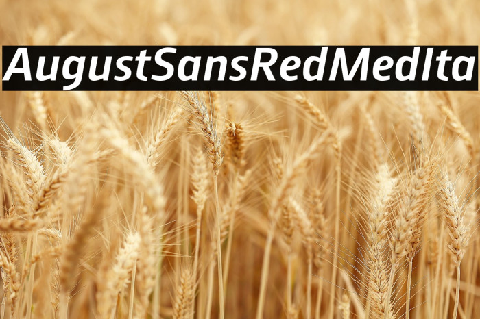 AugustSansRed-66MedIta Example 2