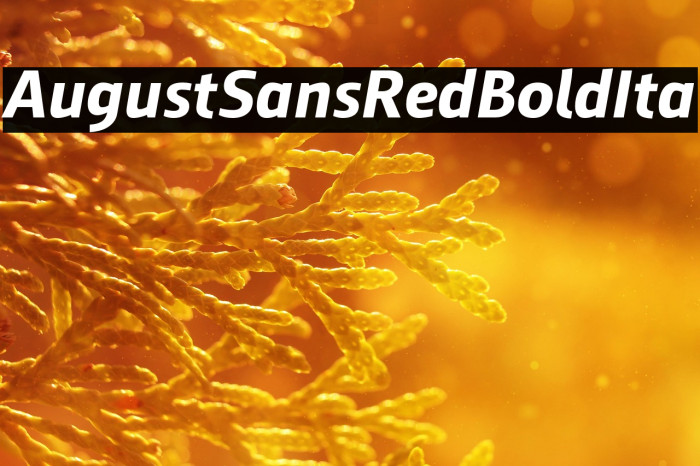AugustSansRed-76BoldIta Example 2