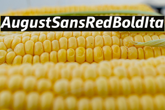 AugustSansRed-76BoldIta Example 3