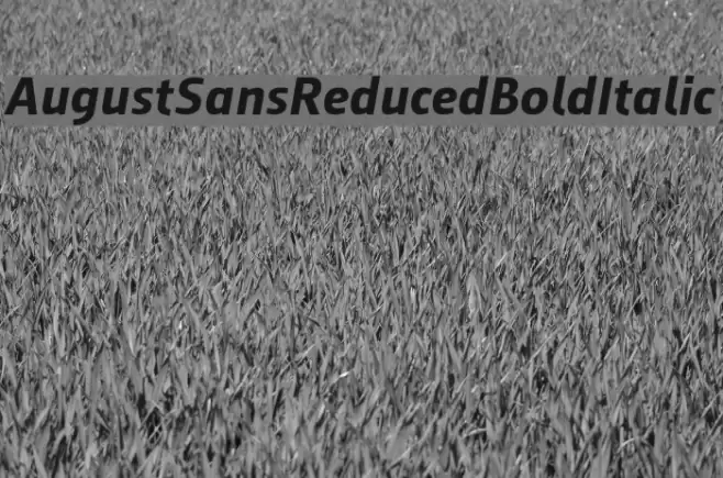 AugustSansReduced-BoldItalic Font examples