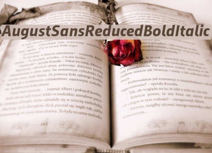 AugustSansReduced-BoldItalic Font examples