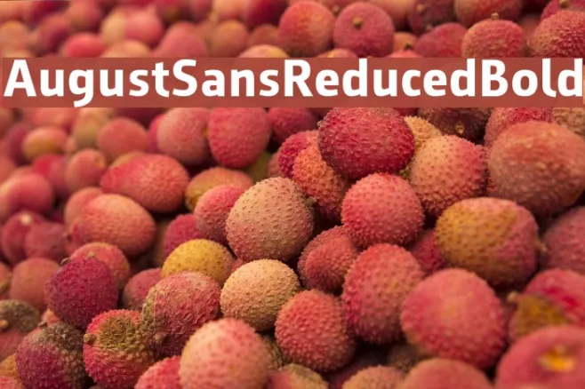 AugustSansReduced-Bold Example 3