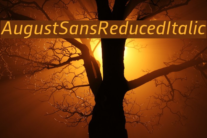 AugustSansReduced-Italic Font examples