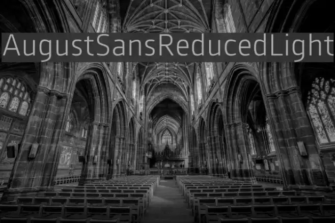 AugustSansReduced-Light Font examples