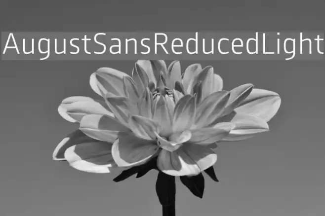 AugustSansReduced-Light Font examples