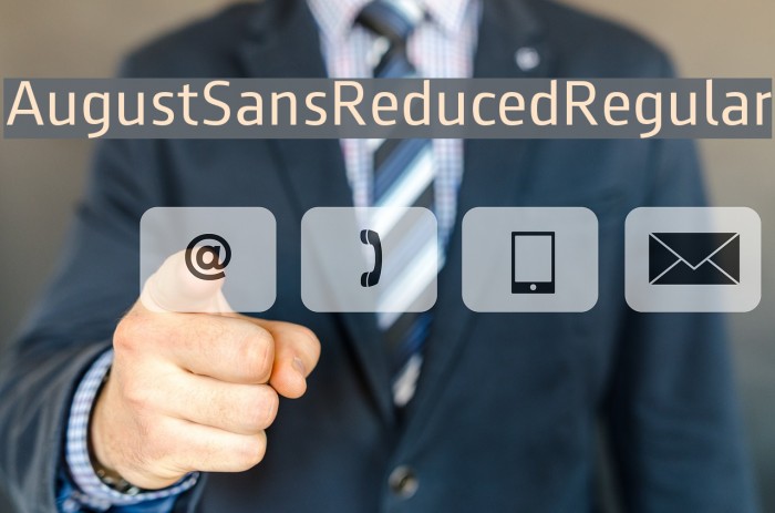 AugustSansReduced-Regular Example 2