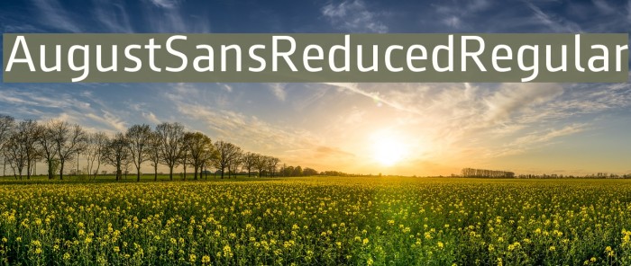 AugustSansReduced-Regular Example 3