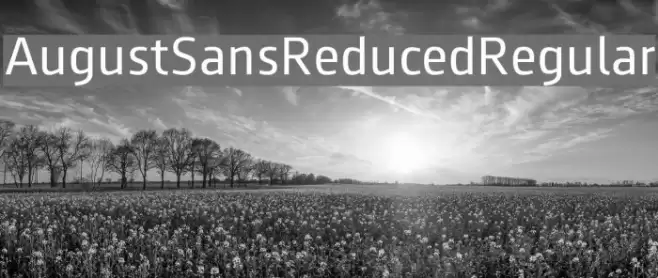 AugustSansReduced-Regular Font examples