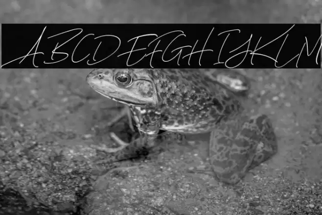 AugustStoriesDEMO-Script Font examples