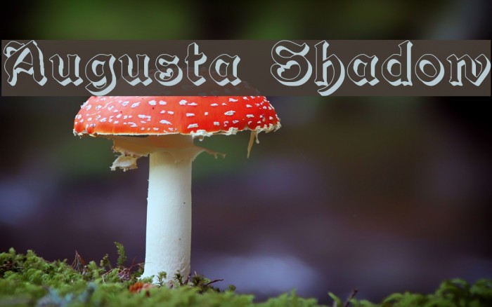 Augusta Shadow Font examples