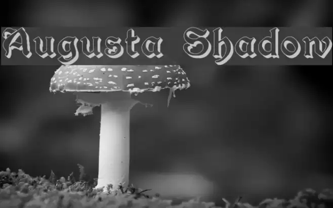 Augusta Shadow フォント examples