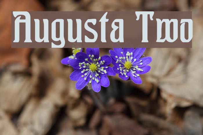 Augusta Two Font examples