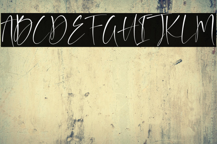 Auguste Boutique Example 1