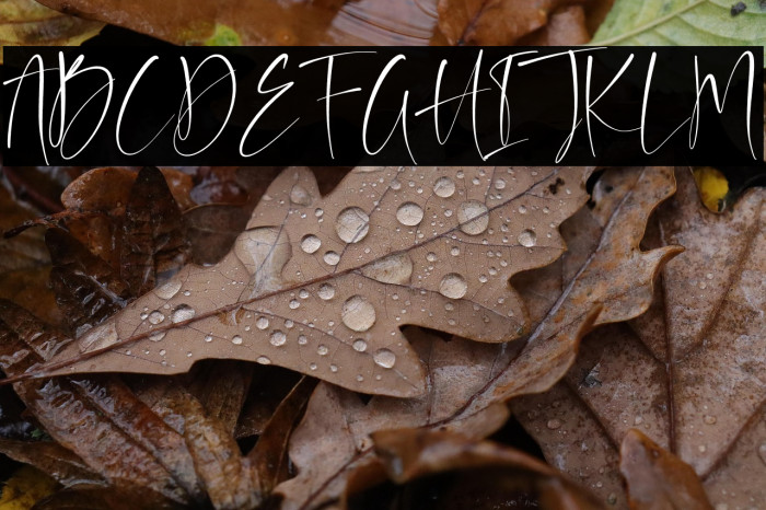 Auguste Boutique Example 3