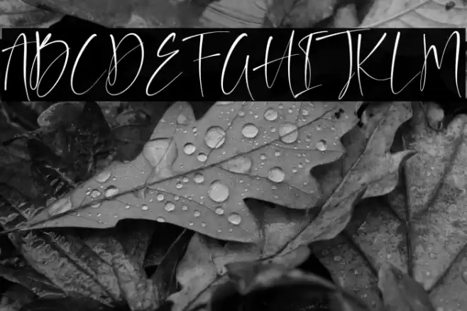 Auguste Boutique Font examples