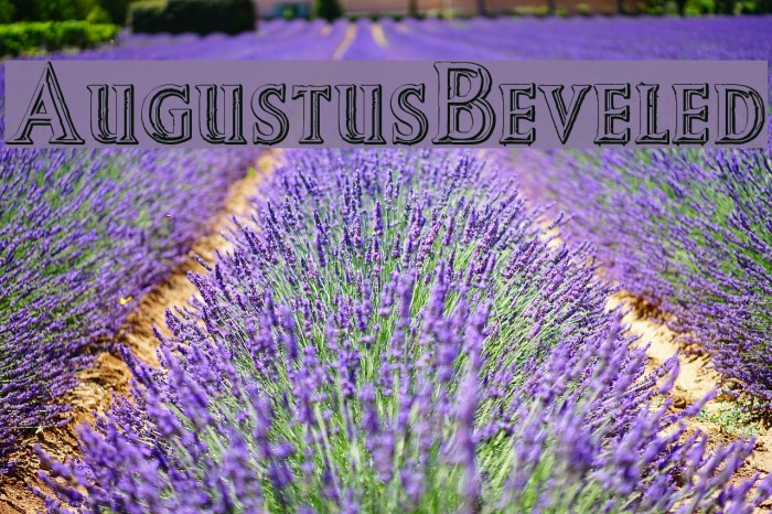 AugustusBeveled Font examples