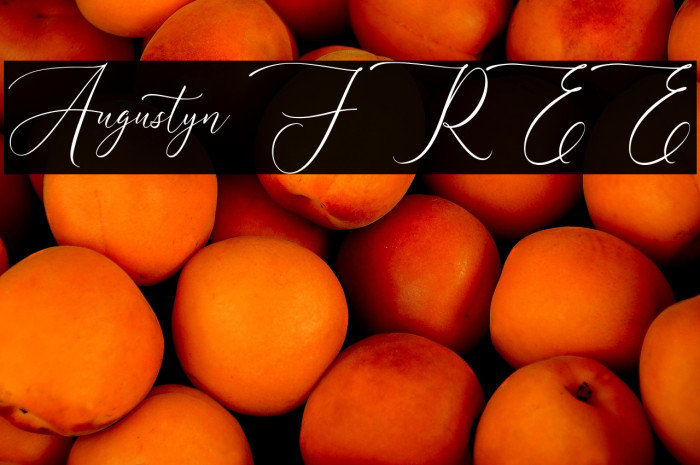 Augustyn FREE Example 1