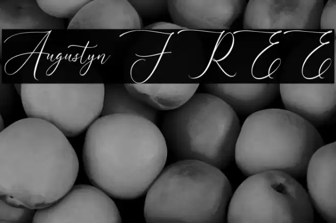Augustyn FREE Font examples