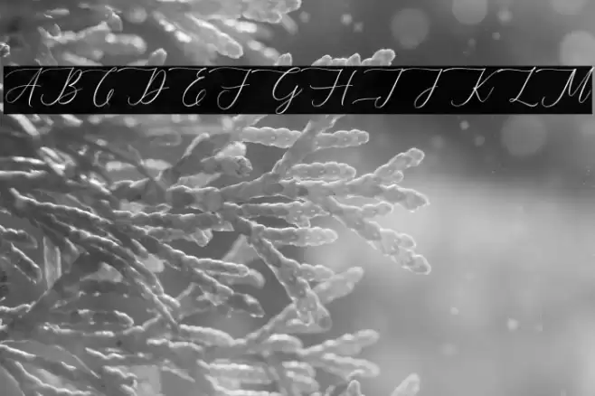 AugustynFREE Font examples