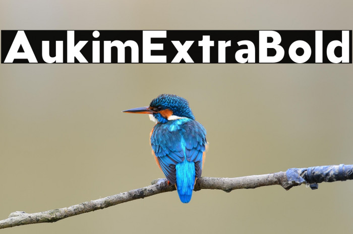 AukimExtraBold Example 2