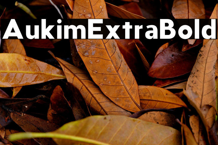 AukimExtraBold Example 3