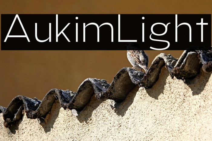 AukimLight Example 1