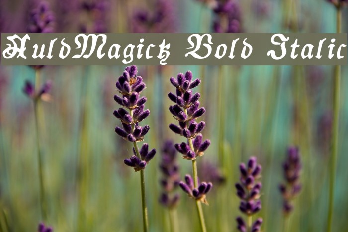 AuldMagick Bold Italic Font examples