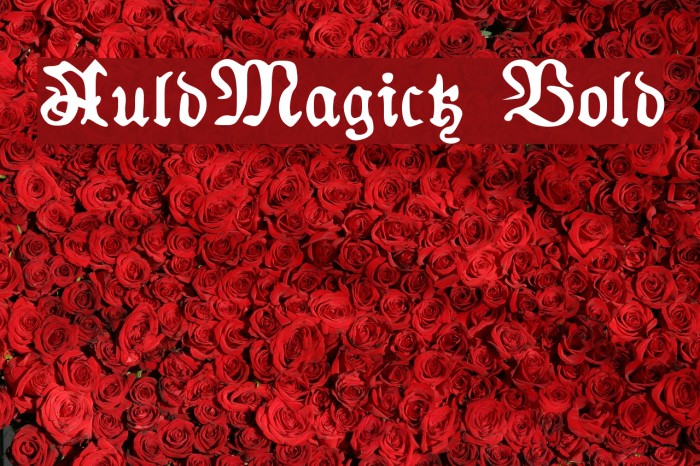 AuldMagick Bold Font examples