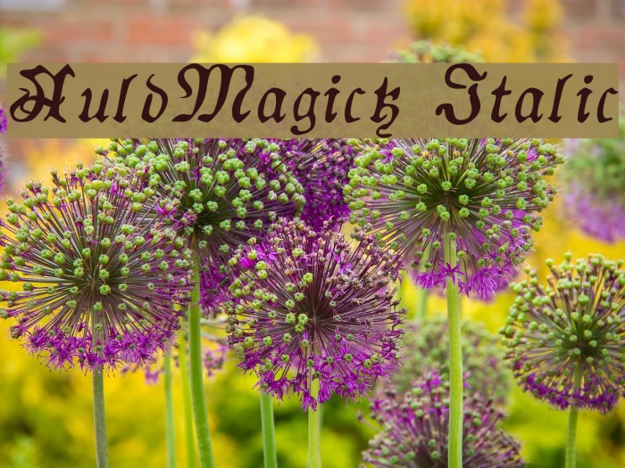 AuldMagick Italic Example 1