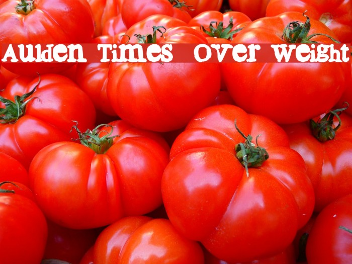 Aulden Times Over Weight Font examples