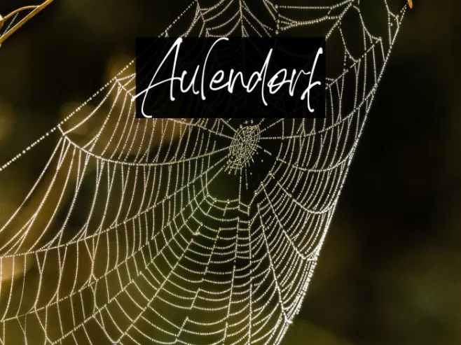 Aulendorf Example 2