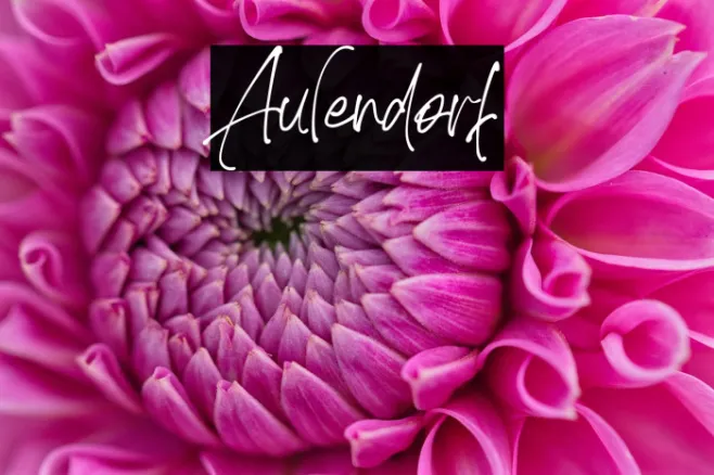 Aulendorf Example 3