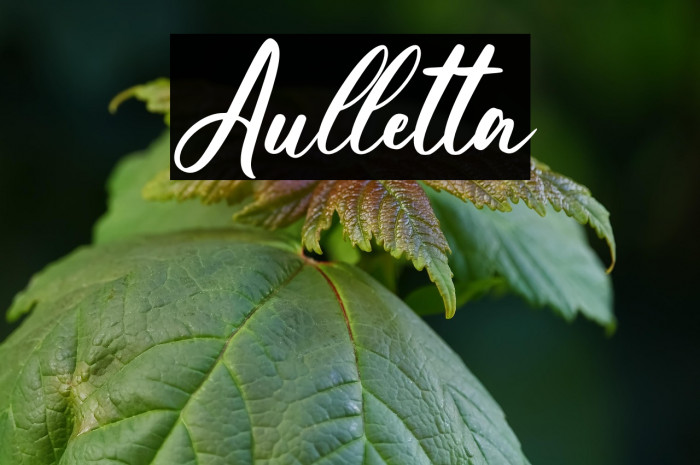 Aulletta Example 2