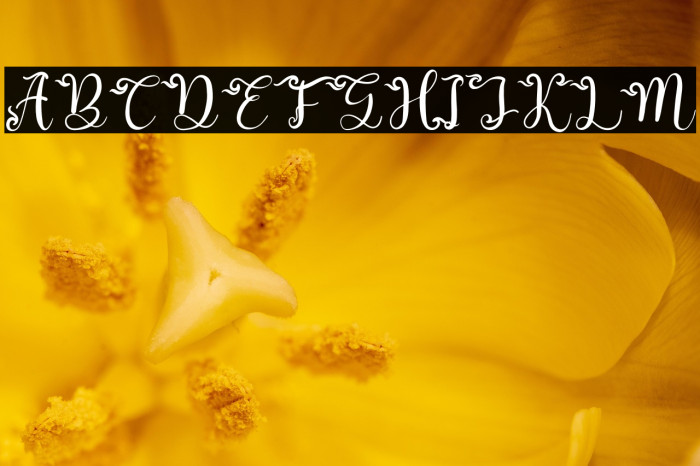 Aullia Beauty Example 2