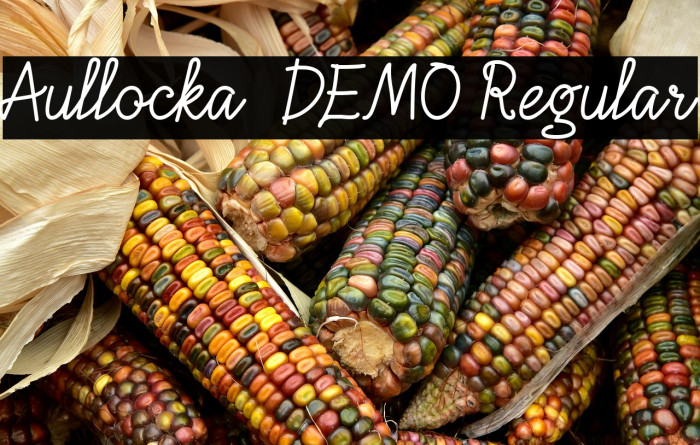 Aullocka - DEMO Regular Example 2